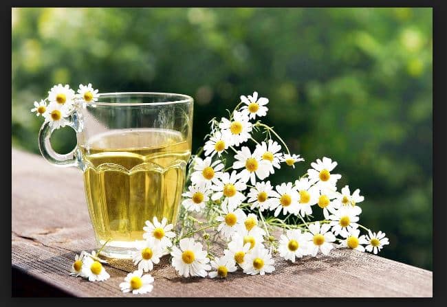 Hair Opening Process with Chamomile Juice