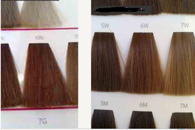 Brown hair shades from the catalog of hair colors 2017 fashion