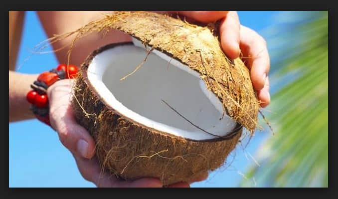 Leche de coco