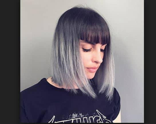 Hill Dark Ends Gris claro Ombre Hair Colors