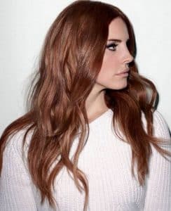 Chestnut Hair Color