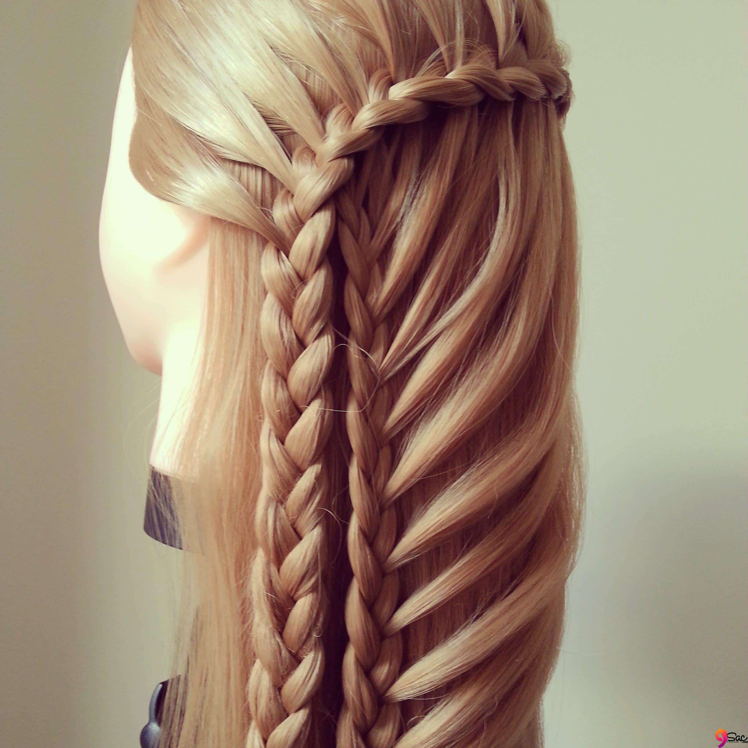 beautiful braided hair